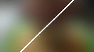 Thanjavur Thanikootu Tambrahm Special Sumangali Prarthanai Special