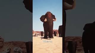 Elephants Say Goodbye to Their Friend #animals #heartwarming #shorts