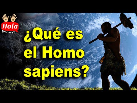 Top ¿Qué es el Homo sapiens?