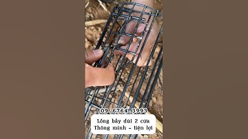 🐹 Lồng bẫy dúi 1 cửa và 2 cửa 🐹 Mời các bác đặt hàng sản phẩm đc đánh giá 5 ⭐️ bên em ạ 😎