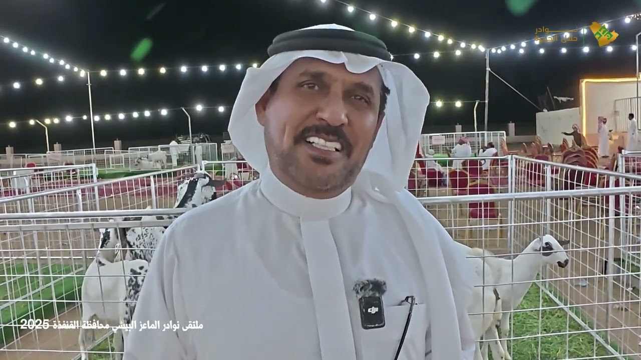 لقائات من ملتقى ملاك نوادر الماعز البيشي في محافظة القنفذة