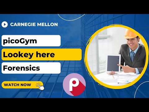 picoGym (picoCTF) Exercise: