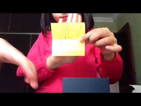 რა გვაჩუქა ჩვენმა მეგობრებმა