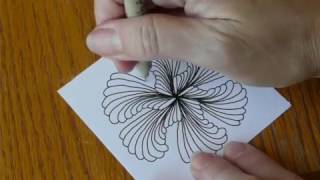 Hamsix daily tangle