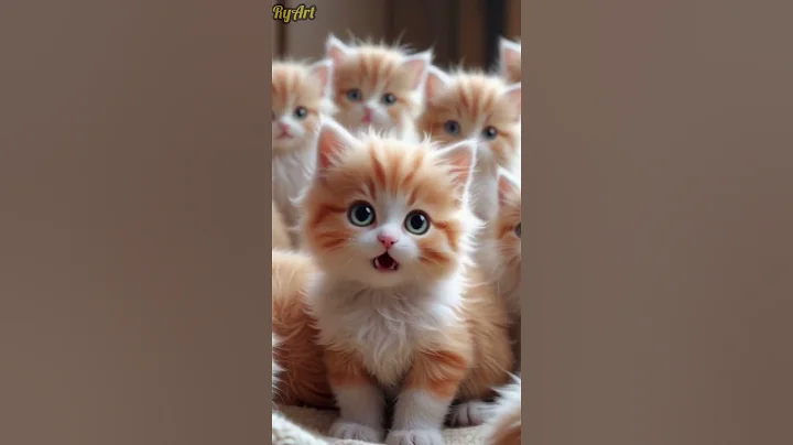 Very Cute - What Did Kitten Say??? #shorts #cat #kitten #lipsyncs #catlovers