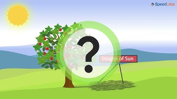 Class-6-Science-Ch-2-Light Shadows & Reflections-Topic- Pinhole Camera   1