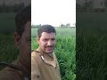 zama rewaag mala viral short tranding song #villagerlifestyle