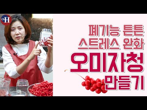 오미자효능