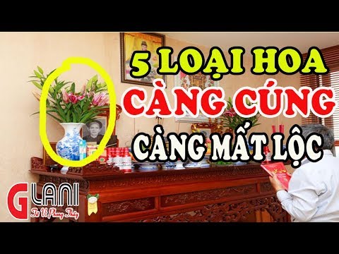 Video: Violet: điềm báo và mê tín, ý nghĩa của loài hoa, trồng hoa violet tại nhà có được không