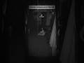 The Babysitter Heard a Child Laughing… But She Was Home Alone#horror #shortvideo#DreadHaven