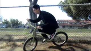 dinuba 2010 bmx edit