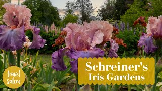 Schreiner's Iris Gardens