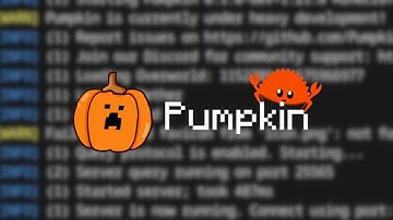 How I Created My Own Minecraft Server Software