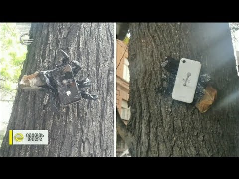 რას ნიშნავს ხეებზე მიჭედებული ტელეფონები?