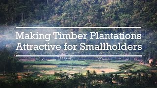 Making Timber Plantations Attractive for Smallholders