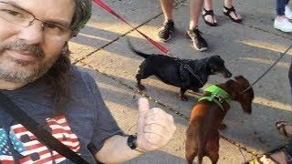 Old town Wiener walk