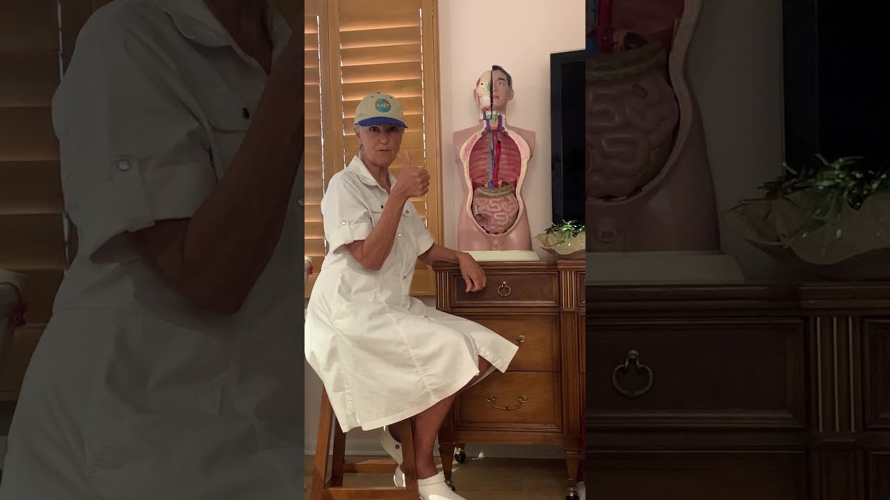 Digestive Anatomy Presentation presented by Cathy Shea, LMT, CT