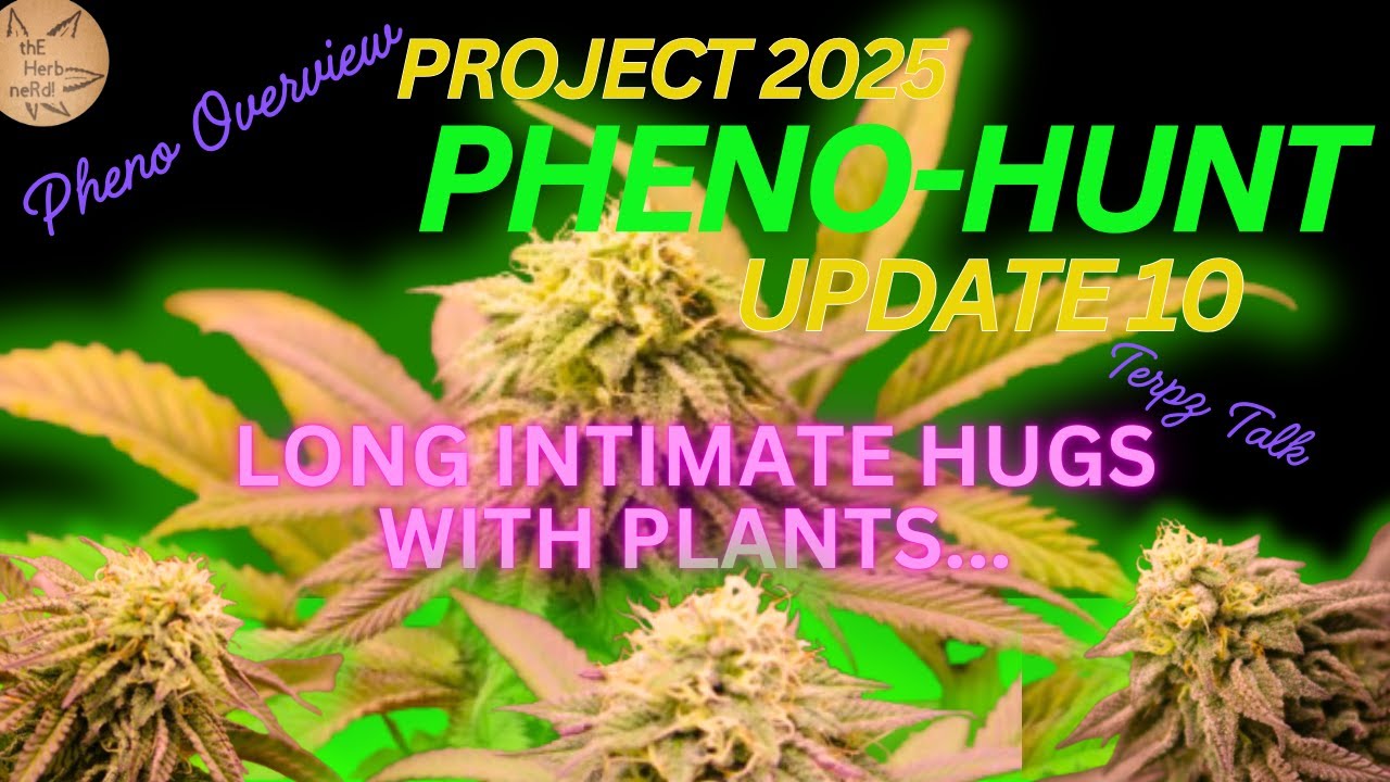 Project 2025 Update 10 Long intimate hugs with plants 