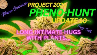 Project 2025 Update 10 Long intimate hugs with plants #420 #garden #gardening