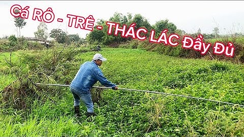 CÂU CÁ LONG AN Con Kênh Nhỏ CÁ RÔ ĐỒNG - CÁ TRÊ VÀNG - CÁ THÁC LÁC @Caucalongan62