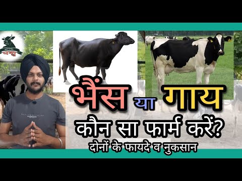 वीडियो: पशु फार्म में साम्यवाद कौन है?