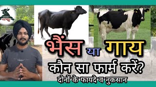 गाय डेयरी फार्म या भैंस डेयरी फार्म - दोनों के फायदे और नुकसान | Cows farm Or Buffaloes dairy farm ?