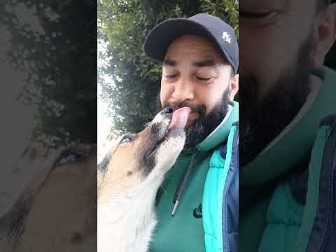 حب كوكوس لشقا  
