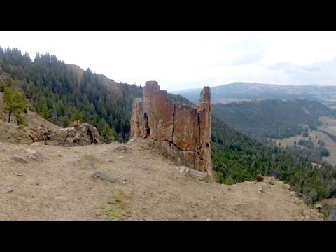 Forrest Fenn Treasure search at Fossil Forest, Yellowstone NP @FollowOurWanderlust