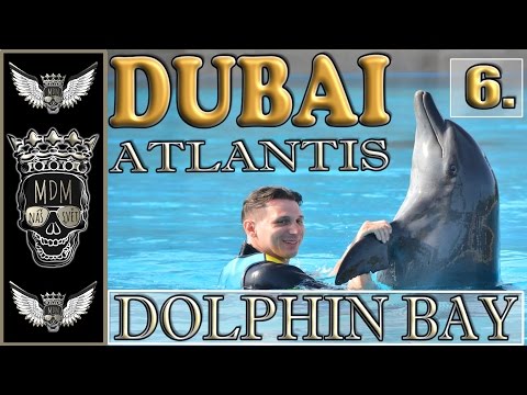 ATLANTIS DOLPHIN BAY DUBAI | AQUAPARK ATLANTIS | VLOG CZ | 6 DEN | TESTUJEME  Aquaventure Waterpark