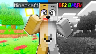 Zahrál Jsem Si Minecraft BEZ BAREV! 🌈 @DaloCZ