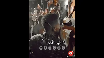 طير يا طير الخلا 