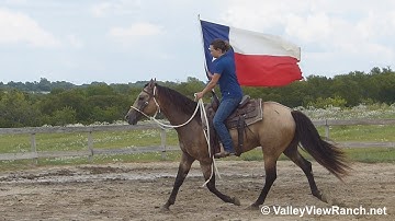 Freckles Dun Playboy - carrying the flag! - ValleyViewRanch.net