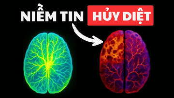 Sức mạnh của Niềm tin:  Nhân tố bí ẩn x2 sức mạnh ý chí của bạn ngay lập tức!