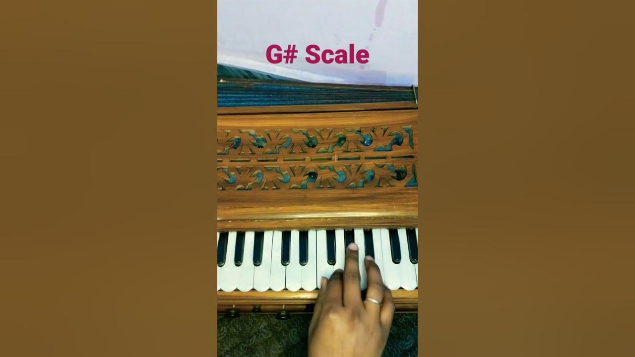 G# Major Scale Harmonium Notes | #shorts #scale