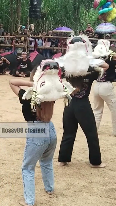 Banteng cewek cantik matador mletre joget mberot megal megol Senggol Dong