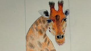 How to draw a giraffe with crayons is so simple | Benny Way