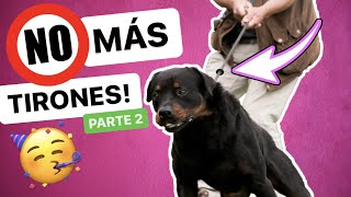 ¡Mi PERRO TIRA de la CORREA! ¿Qué hago?  ► Parte 2