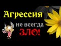 Как превратить Агрессию в ПОЗИТИВ?