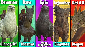 Ranking All Mountable Beasts in Hogwarts Legacy