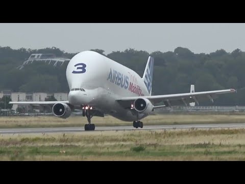 (4K) Crosswind landing Airbus Beluga at Hamburg Finkenwerder Airport
