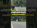 പാഞ്ഞടുത്ത് കാട്ടാനാ | ജാഗ്രത വേണം #facts #news #latestnews #kerala #malayalam