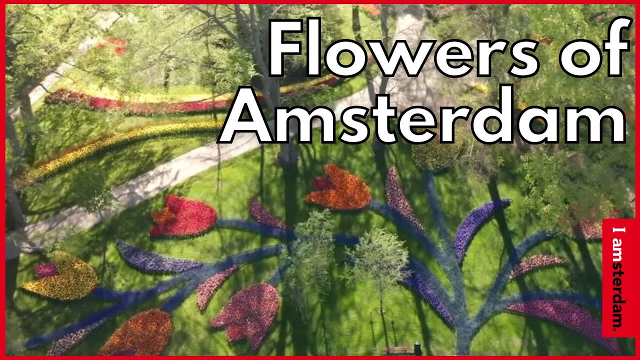 Flowers of Amsterdam Amsterdam Area YouTube