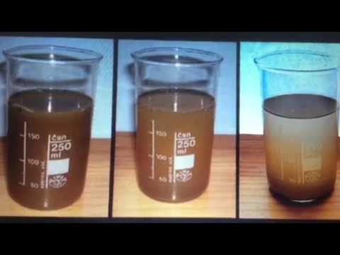 عملية الابانة والترشيح