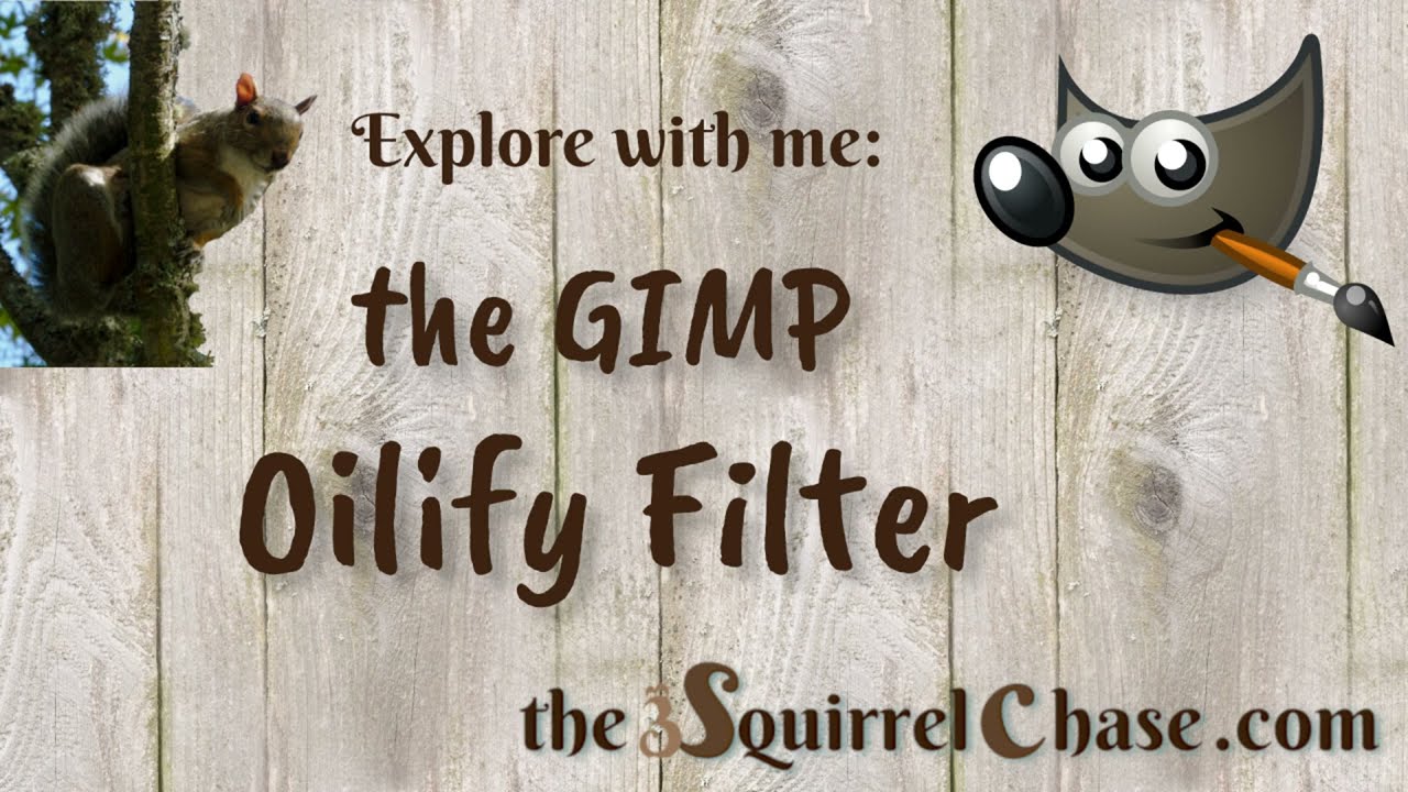 GIMP Oilify filter demo