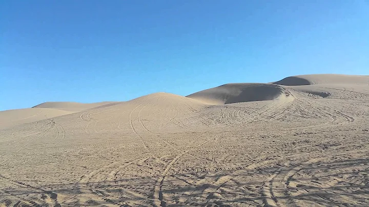 Buttercup dunes 2016