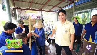 คนไทยหัวใจเกษตร  19 มิถุนายน 2562 B2