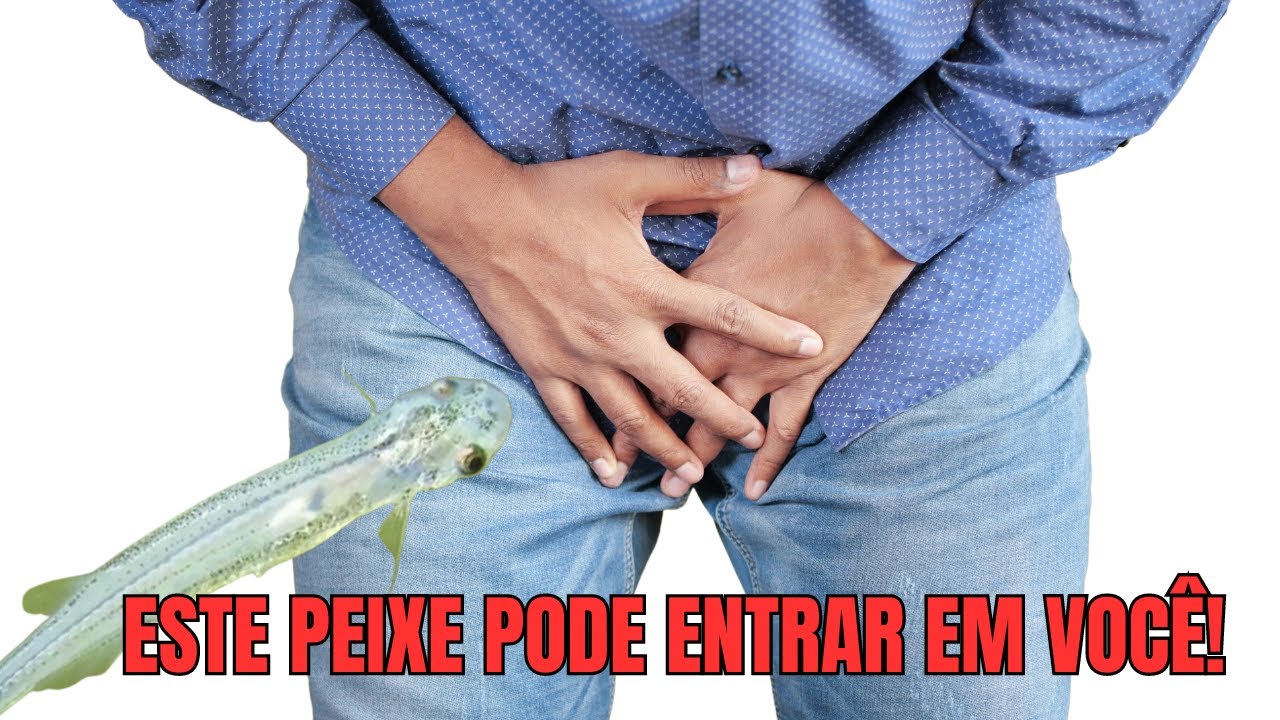 Candiru O Peixe que Pode Entrar na Sua Uretra e te matar! YouTube Candiru O Peixe que Pode Entrar na Sua Uretra e te matar! YouTube