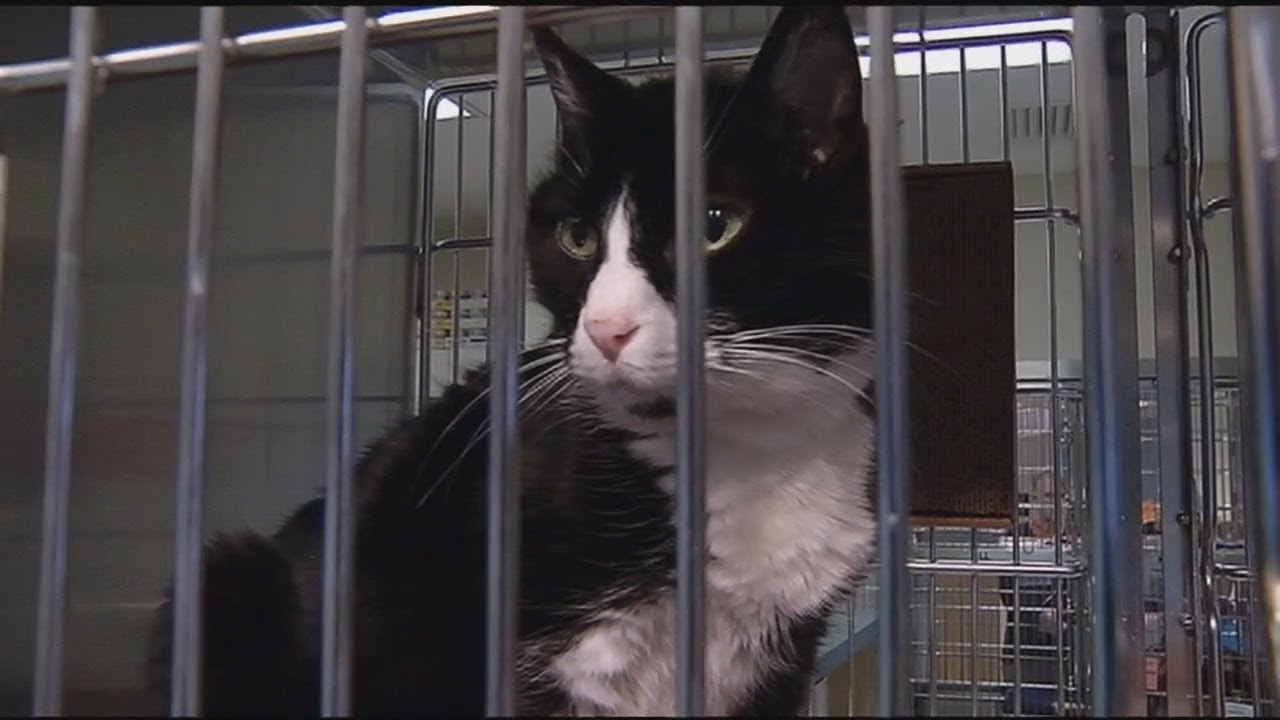 News Update: Two years since first COVID case reported in Washington, OHS raises more than $12K