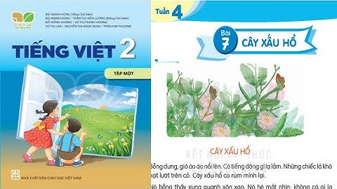 TIẾNG VIỆT LỚP 2. TẬP ĐỌC CÂY XẤU HỔ (T1+2) TRANG 31 SÁCH KẾT NỐI TRI THỨC VỚI CUỘC SỐNG.