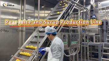 Turnkey Project for Pear Juice and Syrup Production Line